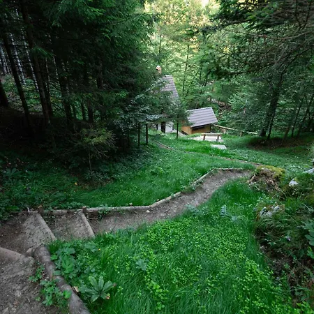 Creekside Zirovnica
